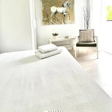 Gola Estilo Fresco Y Mediterraneo